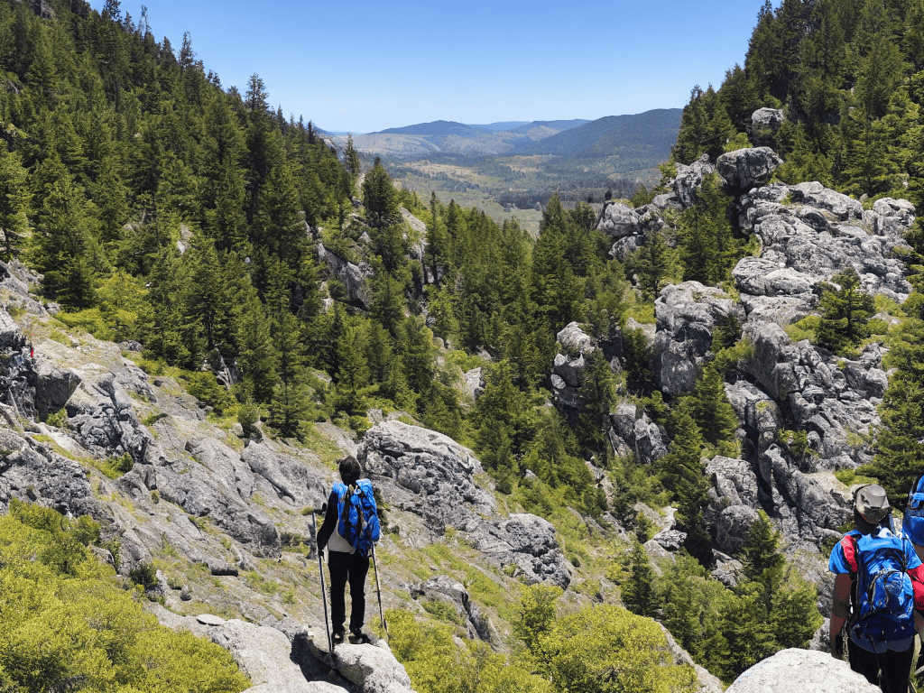 how to navigate solo group tours